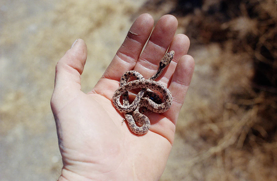 Michael Brodie: Failing}