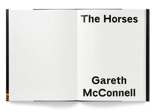 The Horses by Gareth McConnell (Signed)}