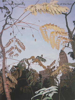 Kiss of the Sun by Lee Mary Manning}