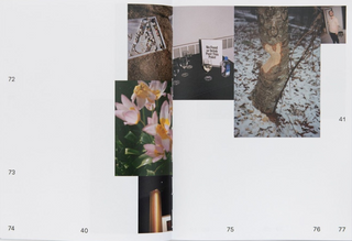 Kiss of the Sun by Lee Mary Manning}