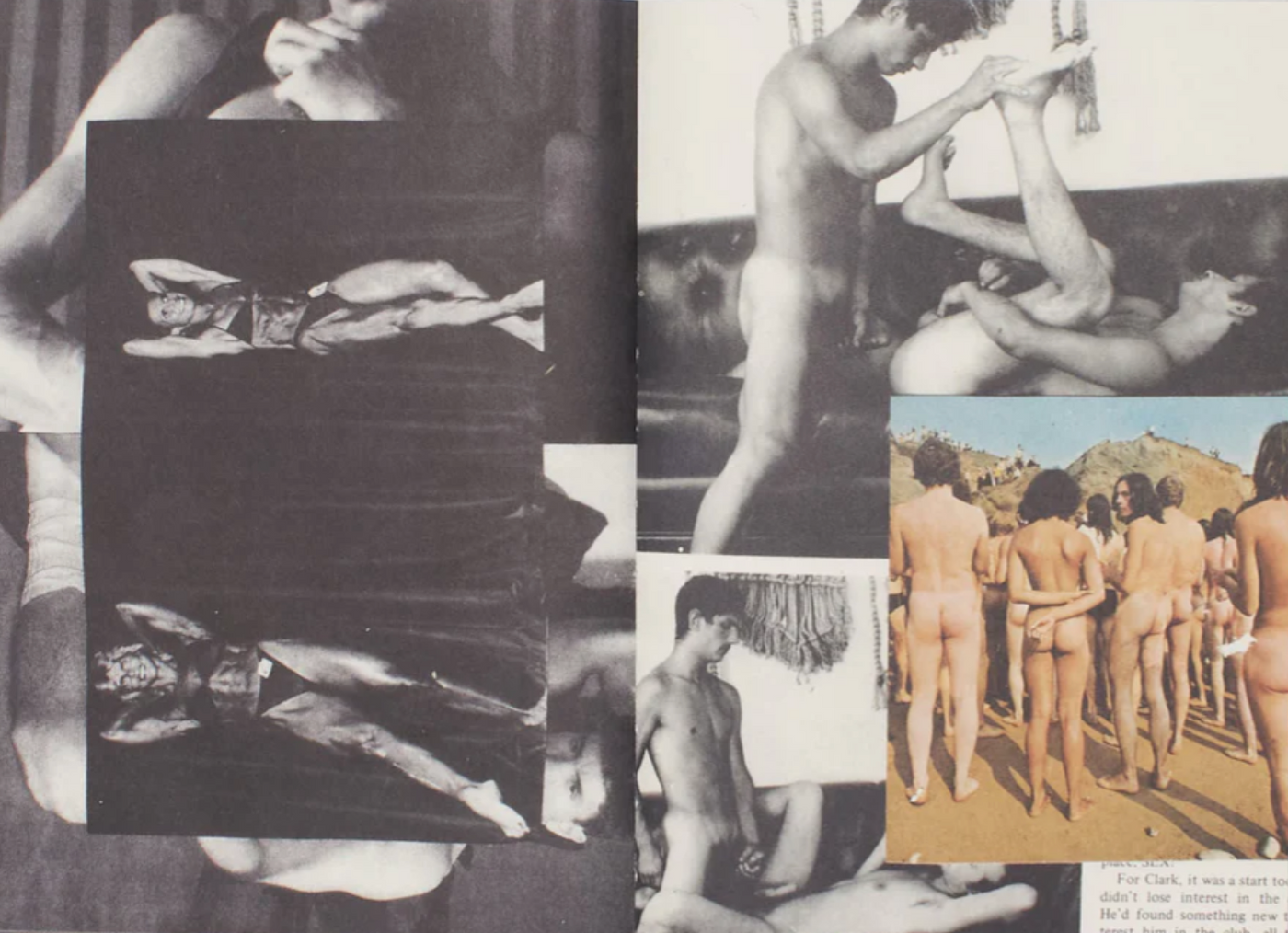 PACK by Gray Wielebinski}