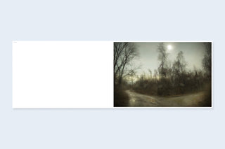 Bright Black World by Todd Hido (Signed)}