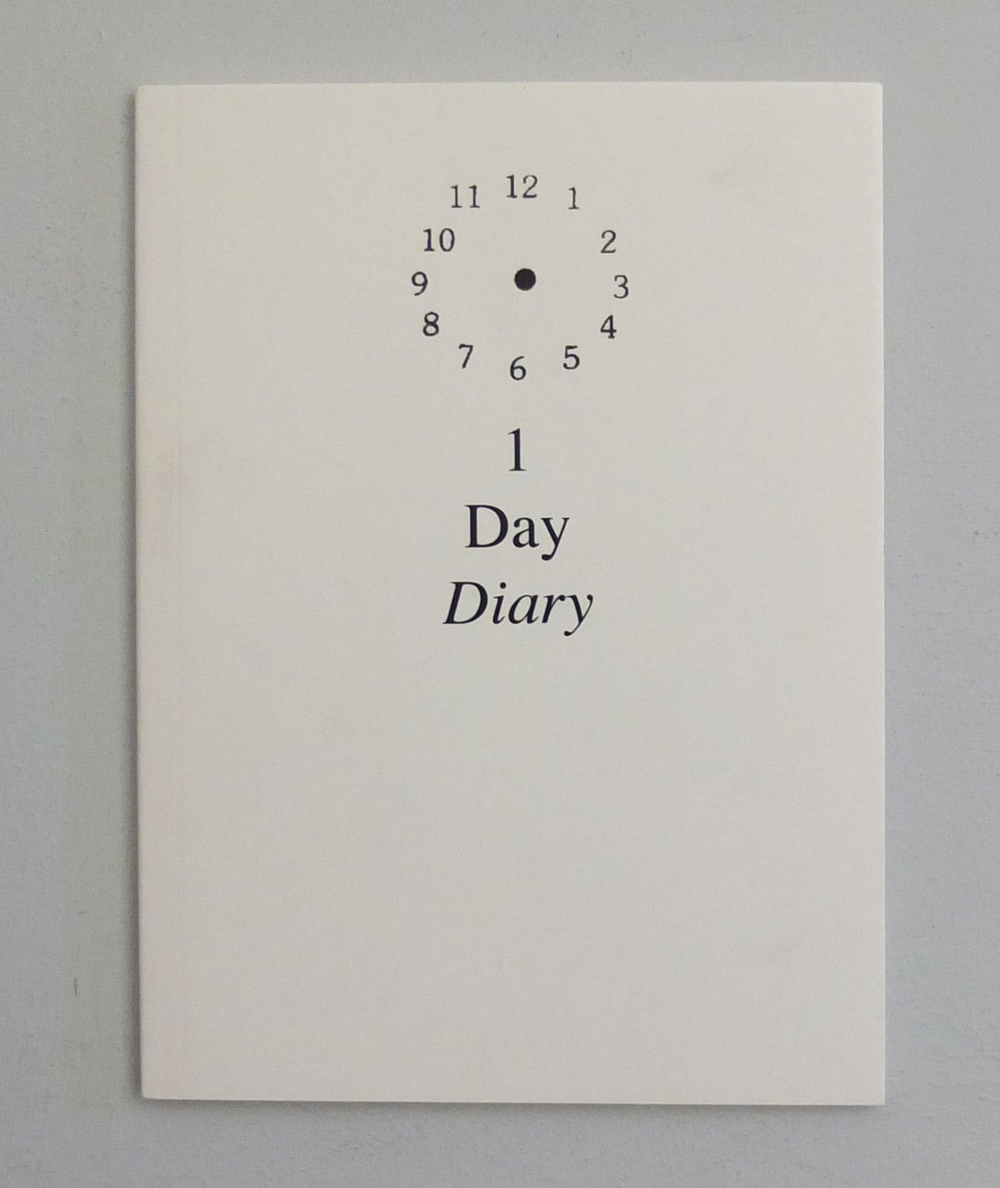 1  Day Diary by Sara MacKillop}