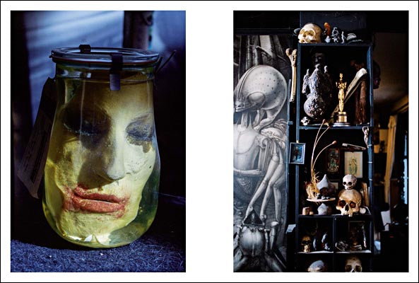 HR GIGER BY CAMILLE VIVIER}