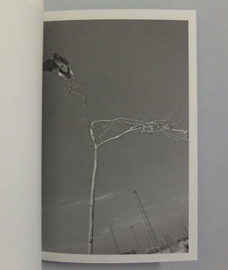 A Day in the Life of by Viviane Sassen (OOP)}
