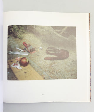 Landscapes for the Homeless by Anthony Hernandez}