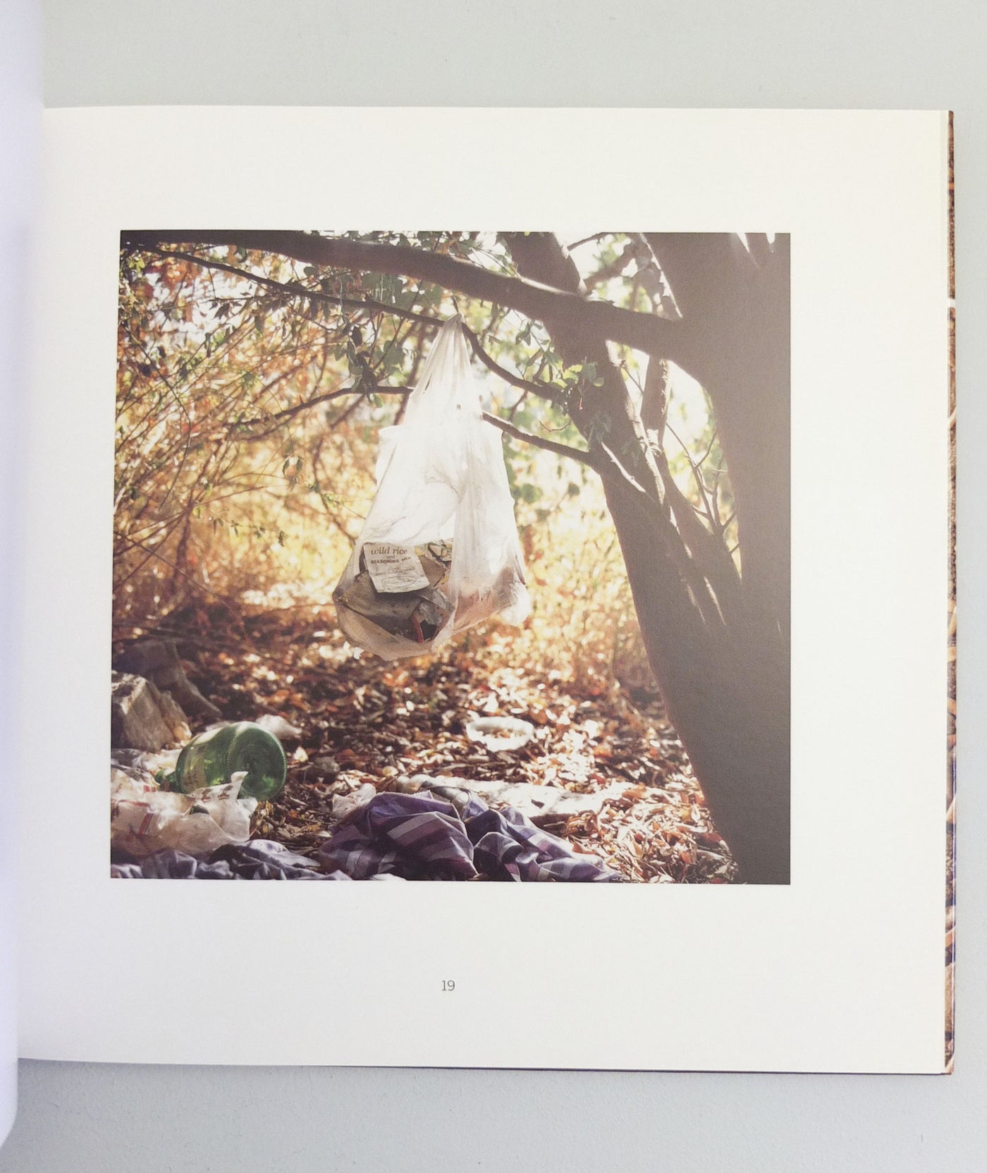 Landscapes for the Homeless by Anthony Hernandez}