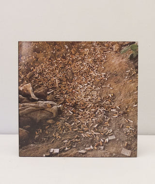 Landscapes for the Homeless by Anthony Hernandez}