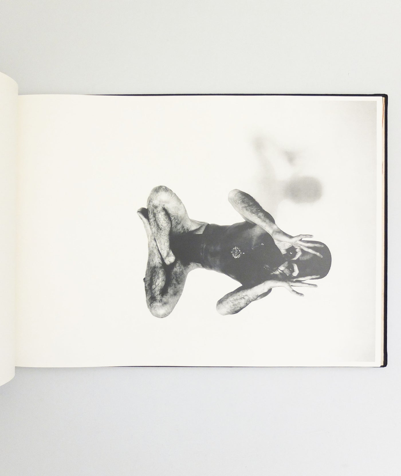 Barakei by Ekioh Hosoe}