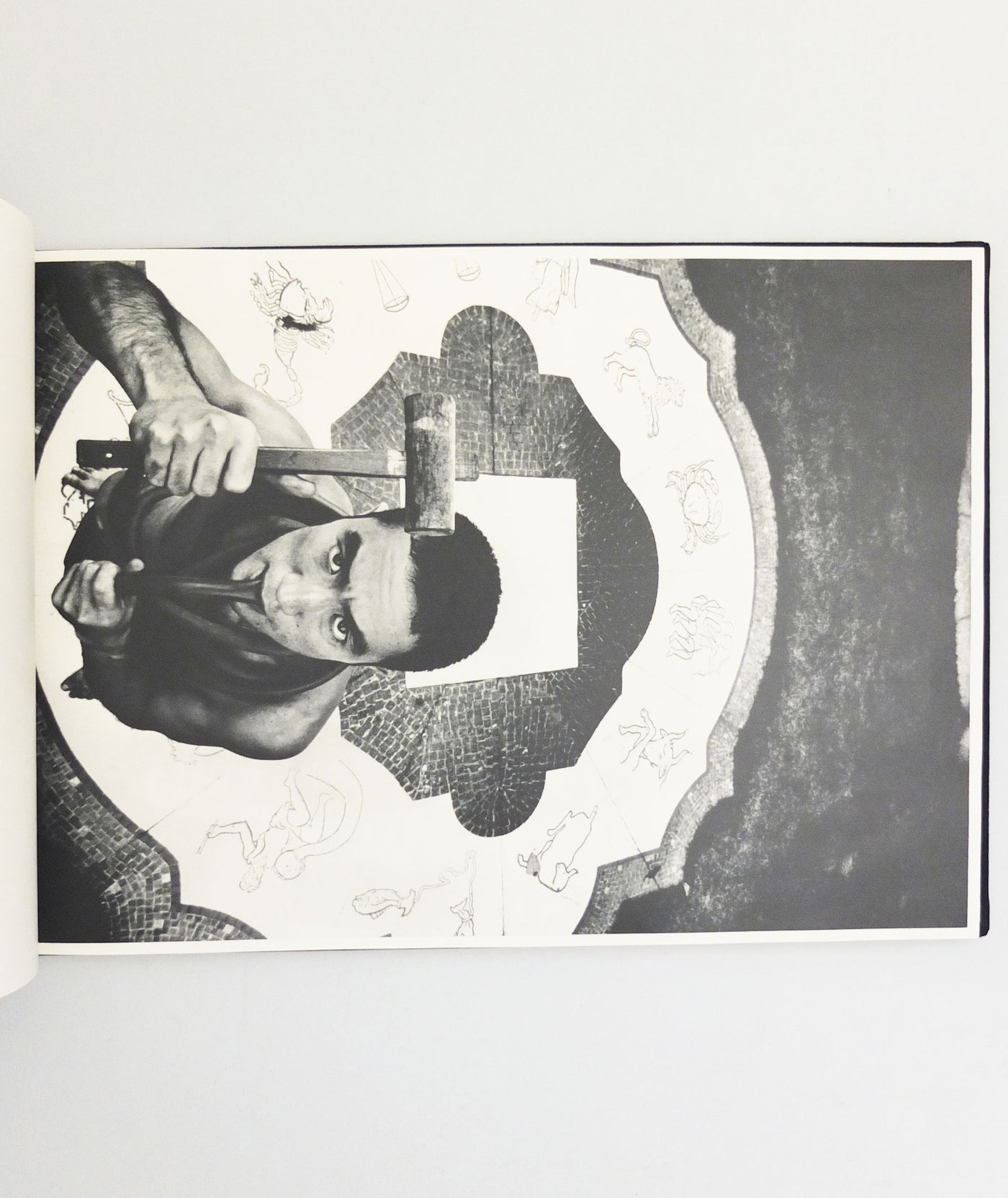 Barakei by Ekioh Hosoe}