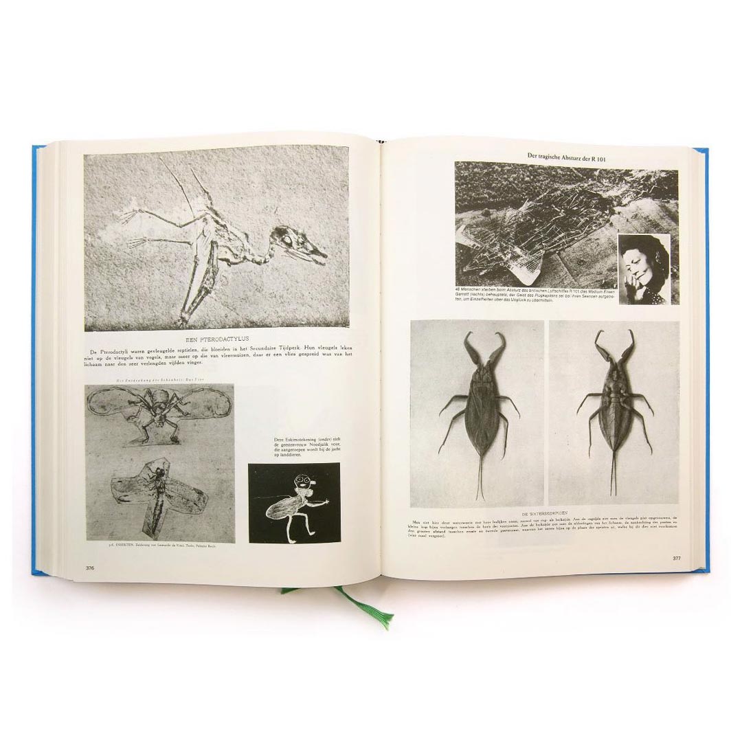 Parallel Encyclopedia 1 by Batia Suter}