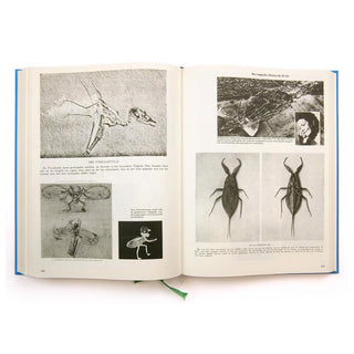 Parallel Encyclopedia 1 by Batia Suter}