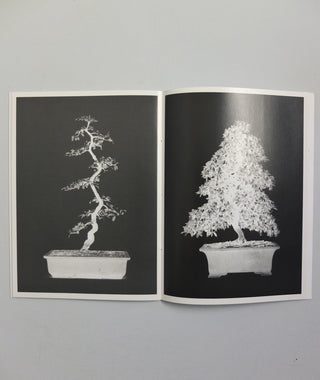 Bonsai by Erik van der Weijde}