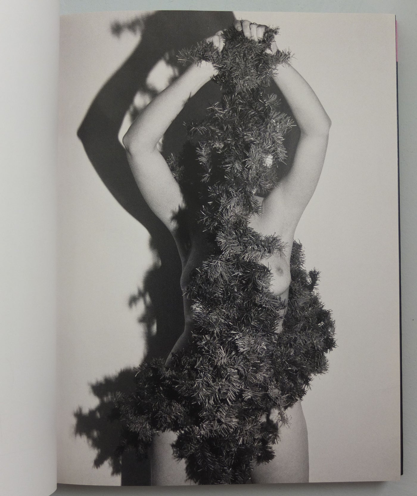 Cherchez La Femme by Walter Pfeiffer}