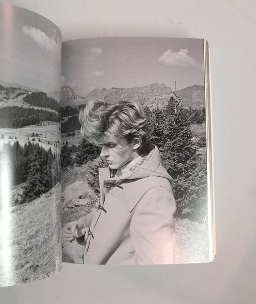 Hypergraphia: The Writings of David Sylvian 1980-2014: David