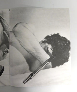 Linder's Gayhouse by Linder Sterling}