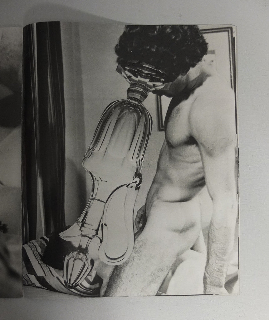 Linder's Gayhouse by Linder Sterling}