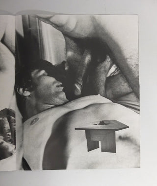 Linder's Gayhouse by Linder Sterling}