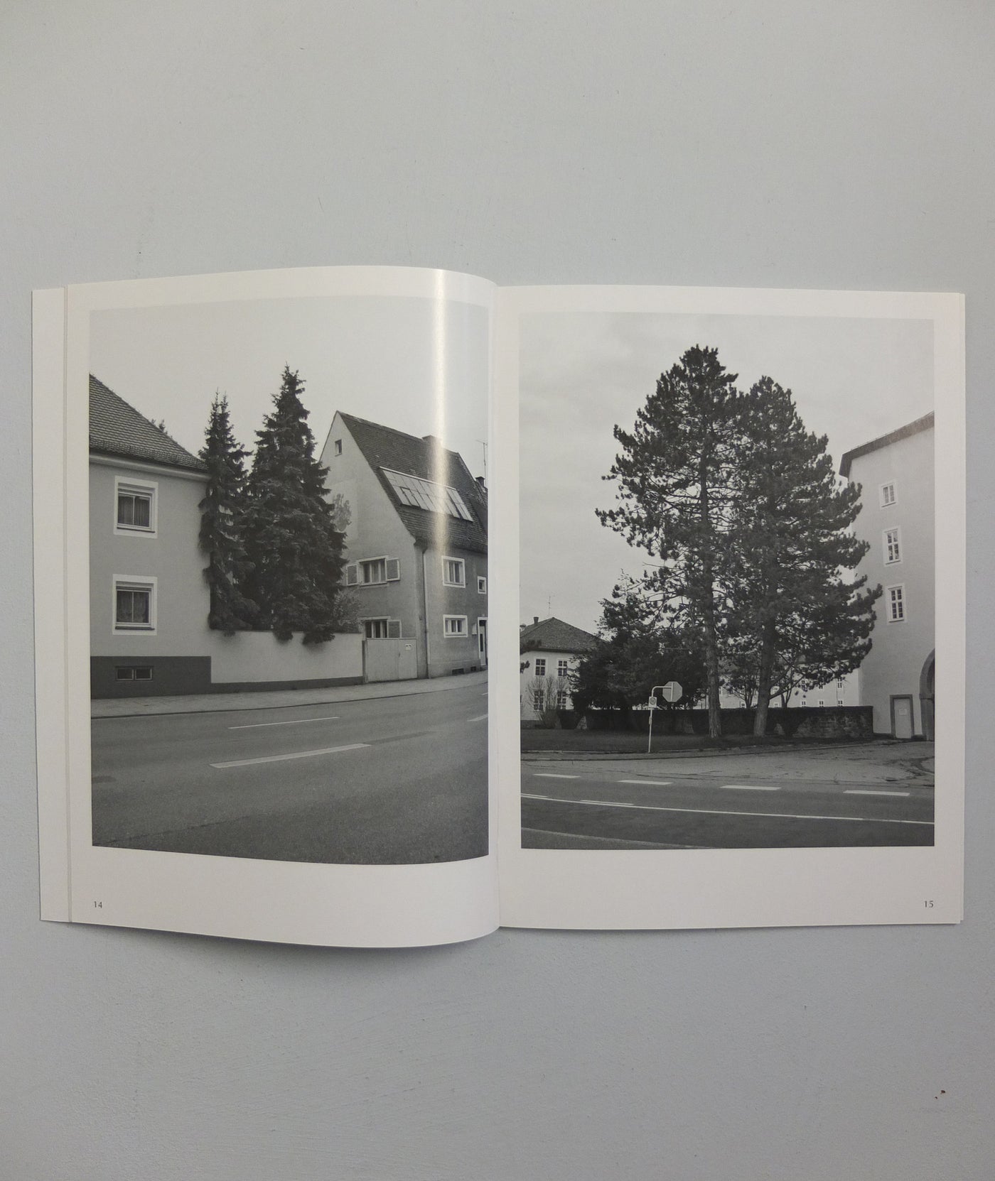 Der Baum by Erik van der Weijde (OOP)}