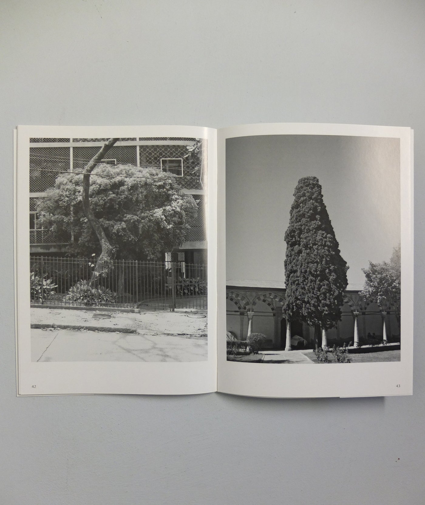 Der Baum by Erik van der Weijde (OOP)}