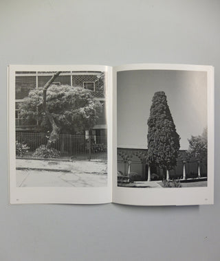 Der Baum by Erik van der Weijde (OOP)}