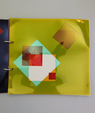 Dieter Roth: Gesammelte Werke, band 1}