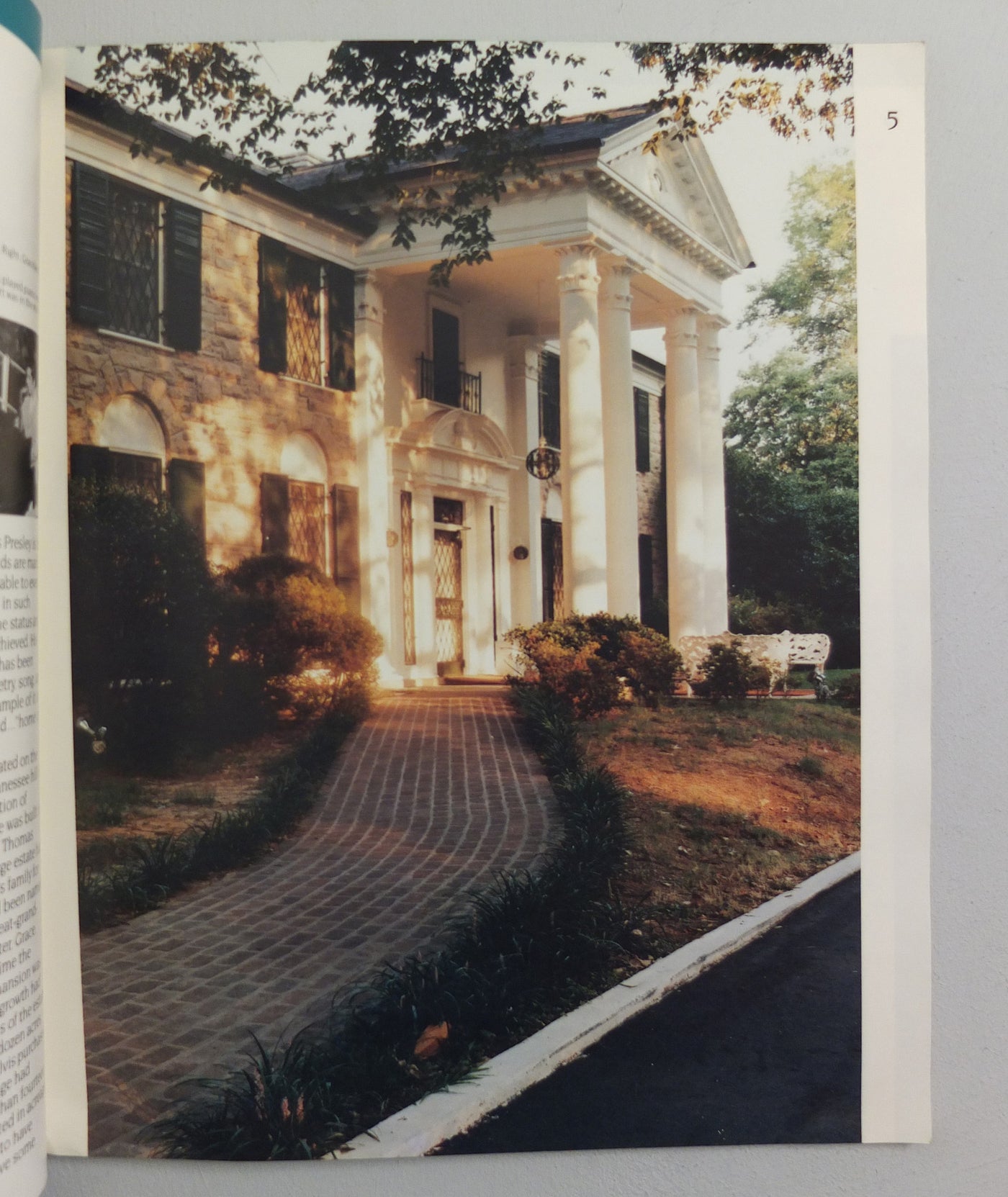 Elvis at Graceland by William Eggleston}