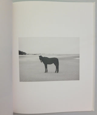 Farewell Horse by Roe Ethridge}