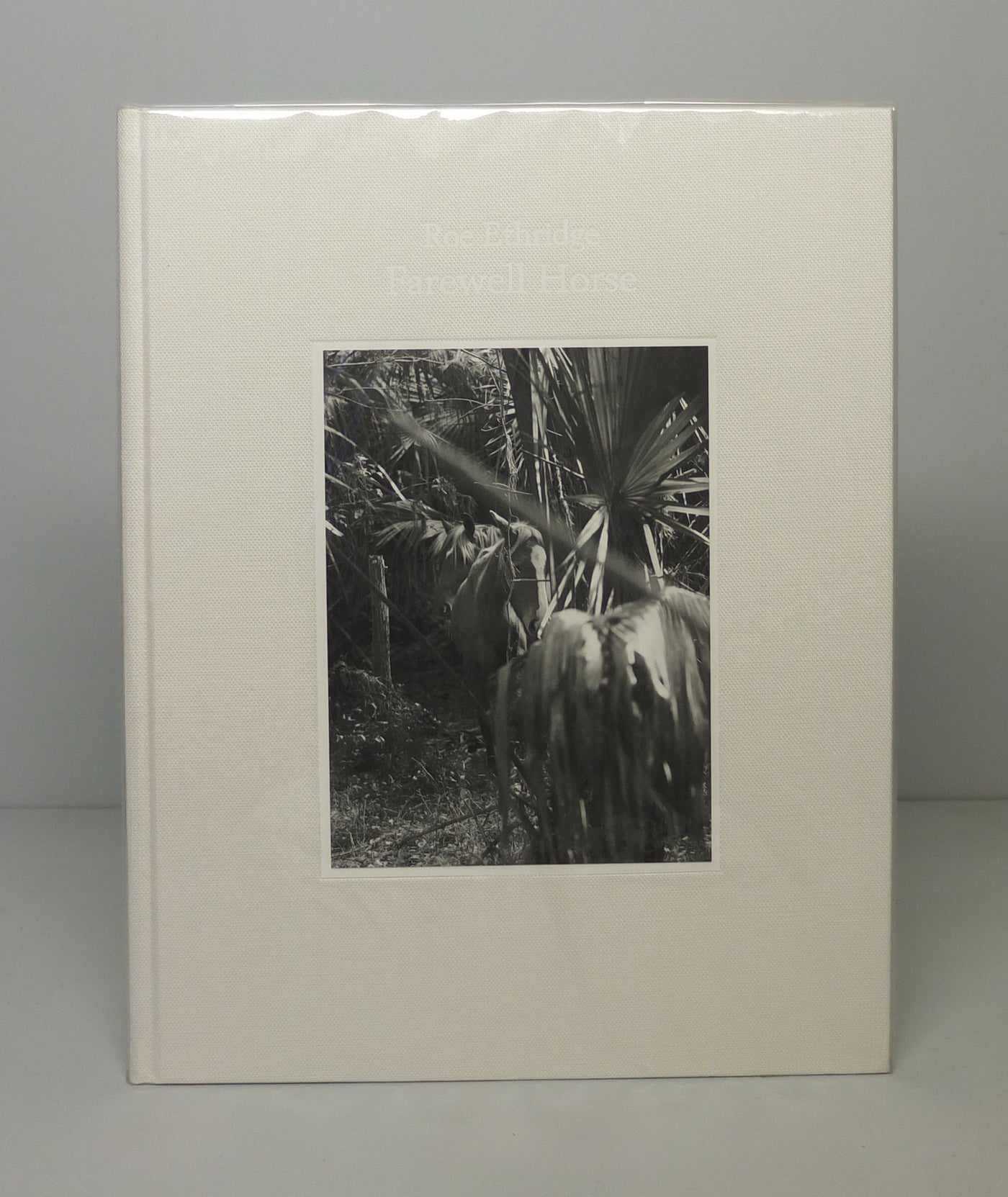 Farewell Horse by Roe Ethridge}