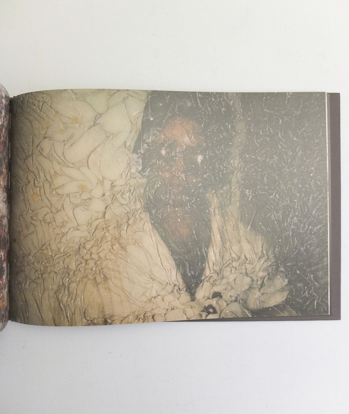 Found Photos in Detroit by Arianna Arcara and Luca Santese}