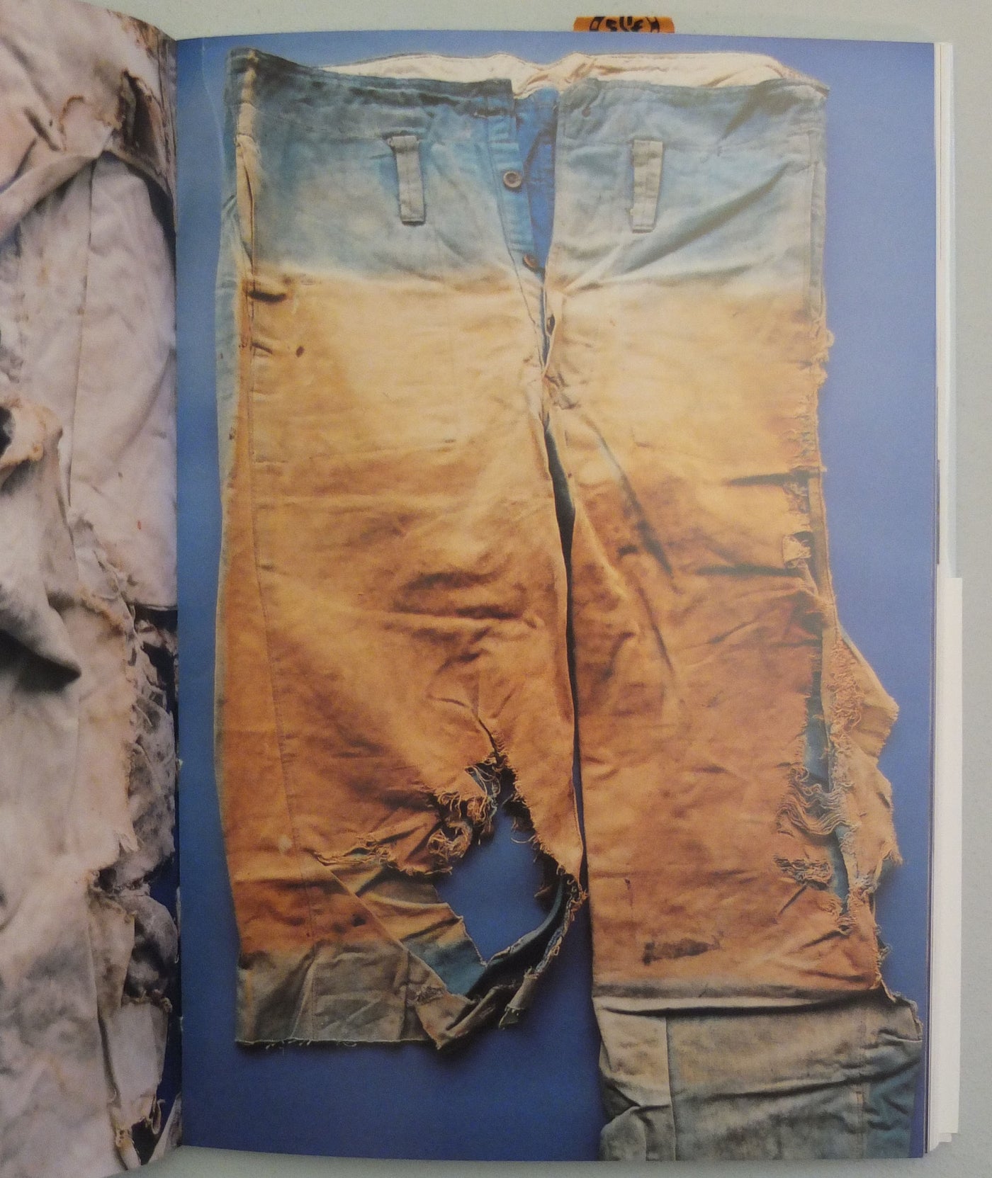 Hiroshima by Miyako Ishiuchi}