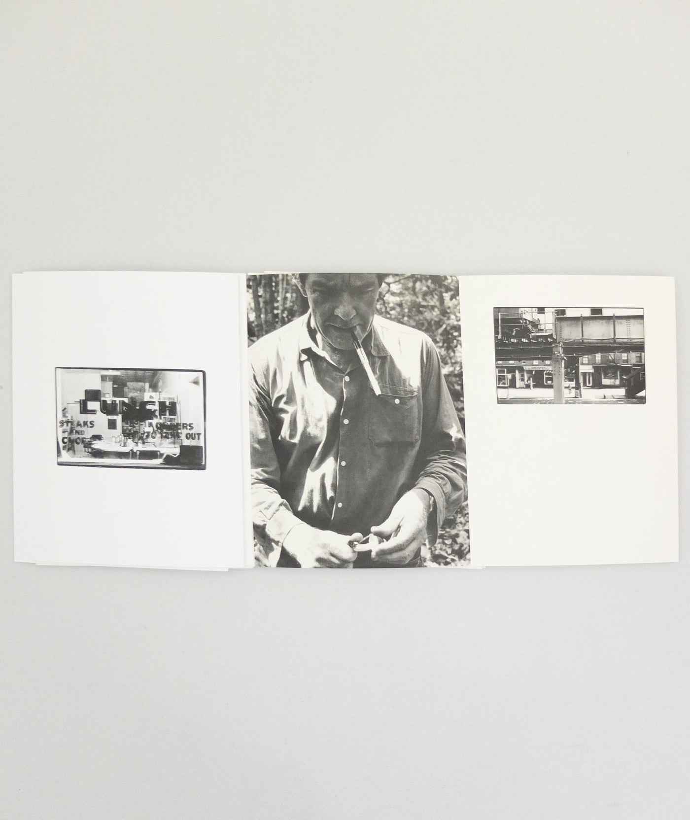 Iris Garden by  John Cage & William Gedney (OOP)}