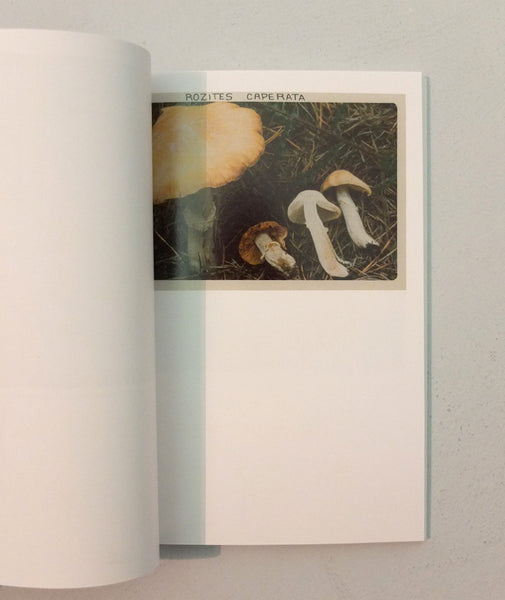 Donlon Books | The Mushroom Collector by Jason Fulford