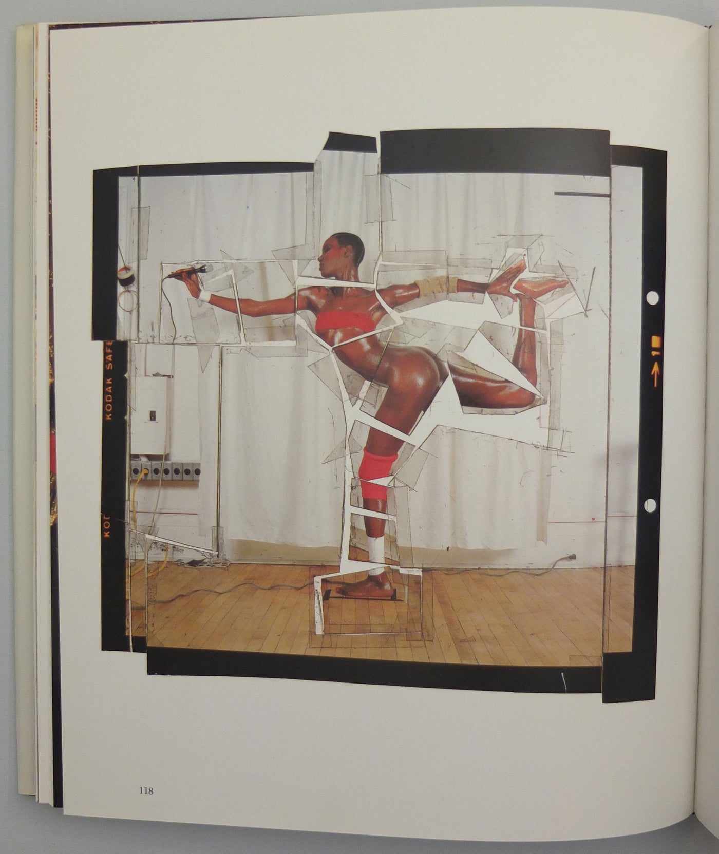 Jungle Fever by Jean Paul Goude}