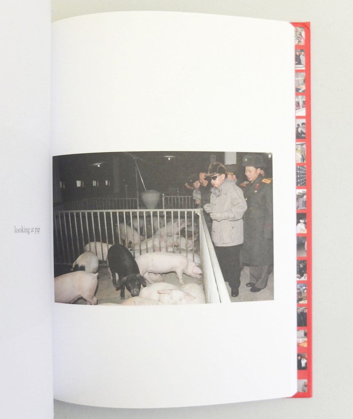 Kim Jong Il Looking at Things by  João Rocha & Marco Bohr}