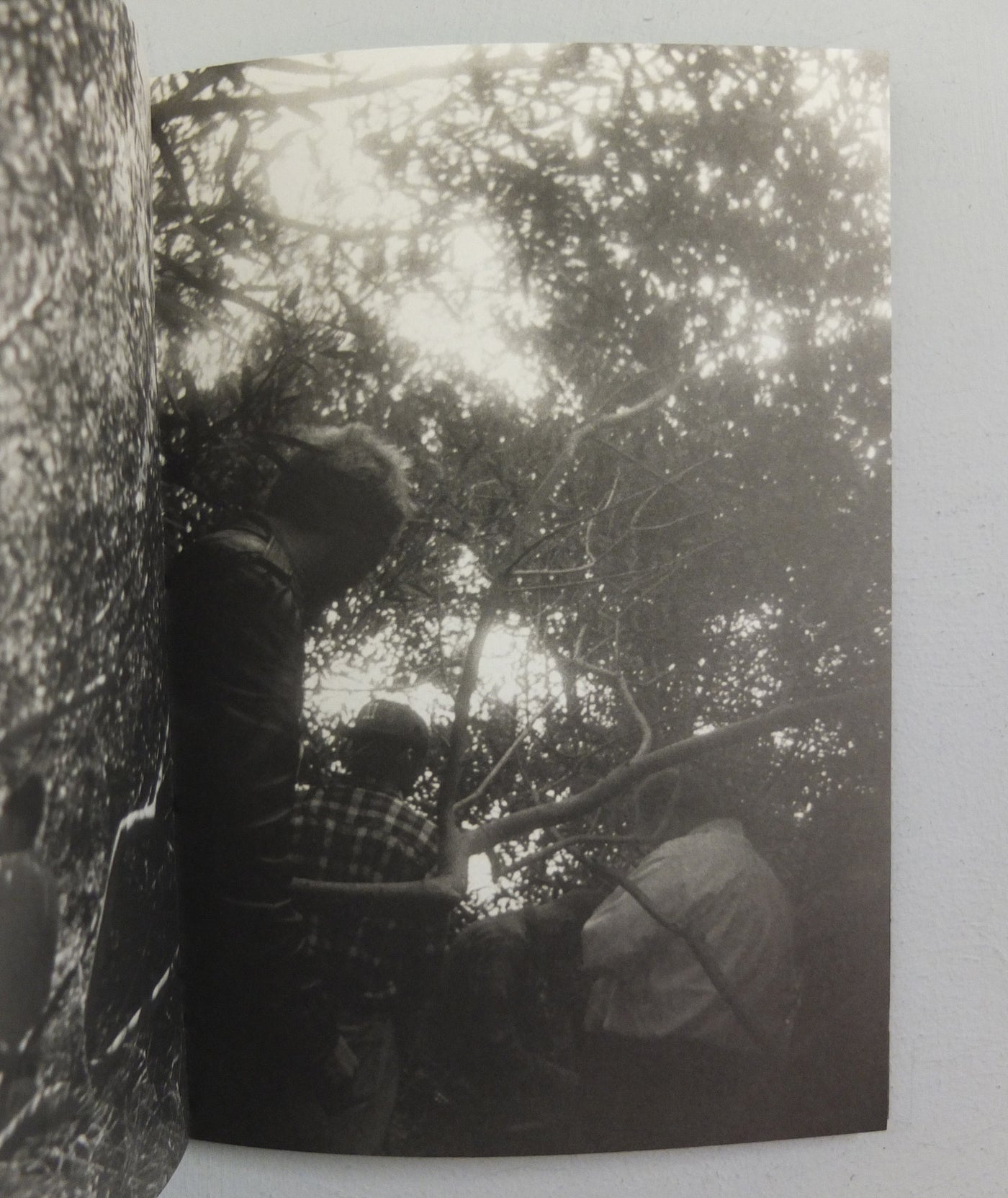 Landscape by Christopher Russell}