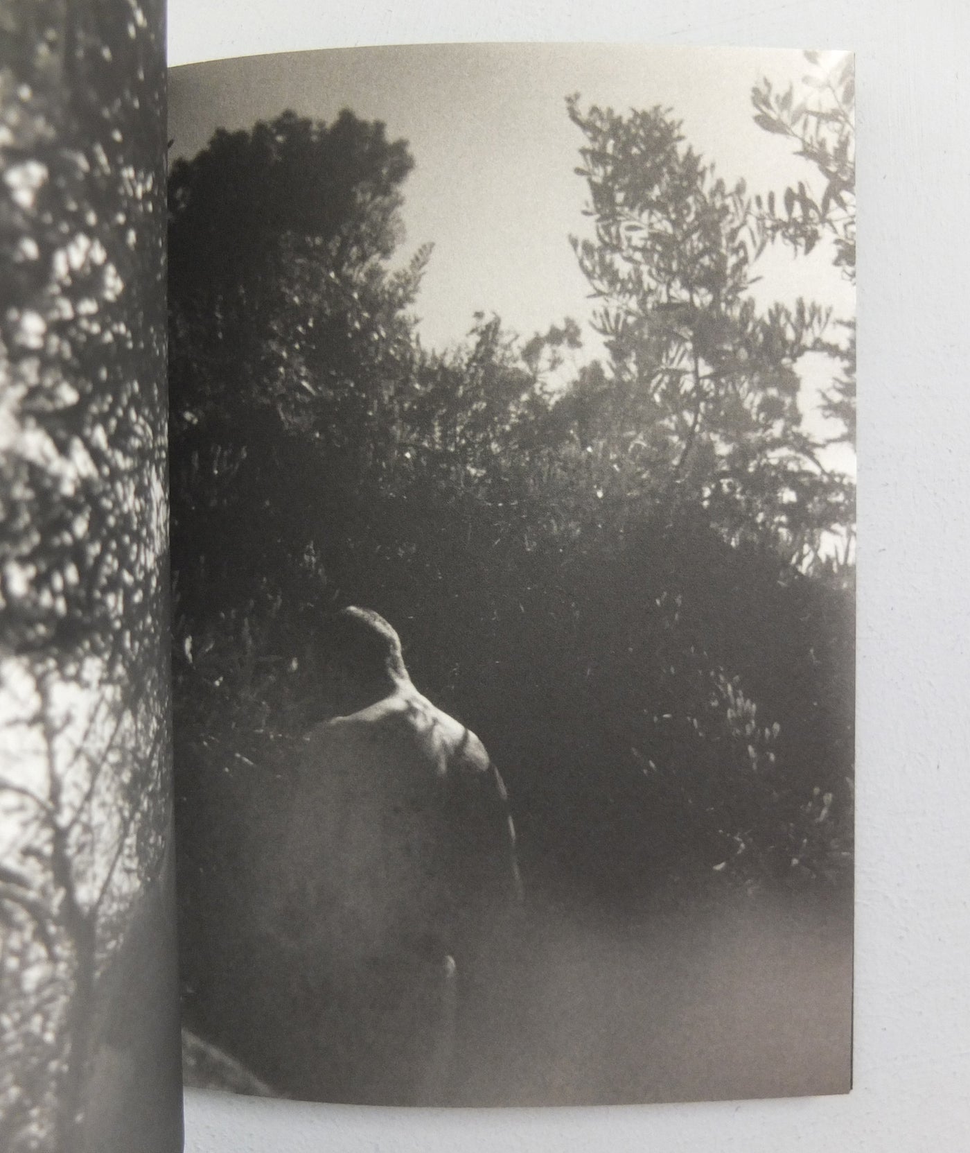 Landscape by Christopher Russell}