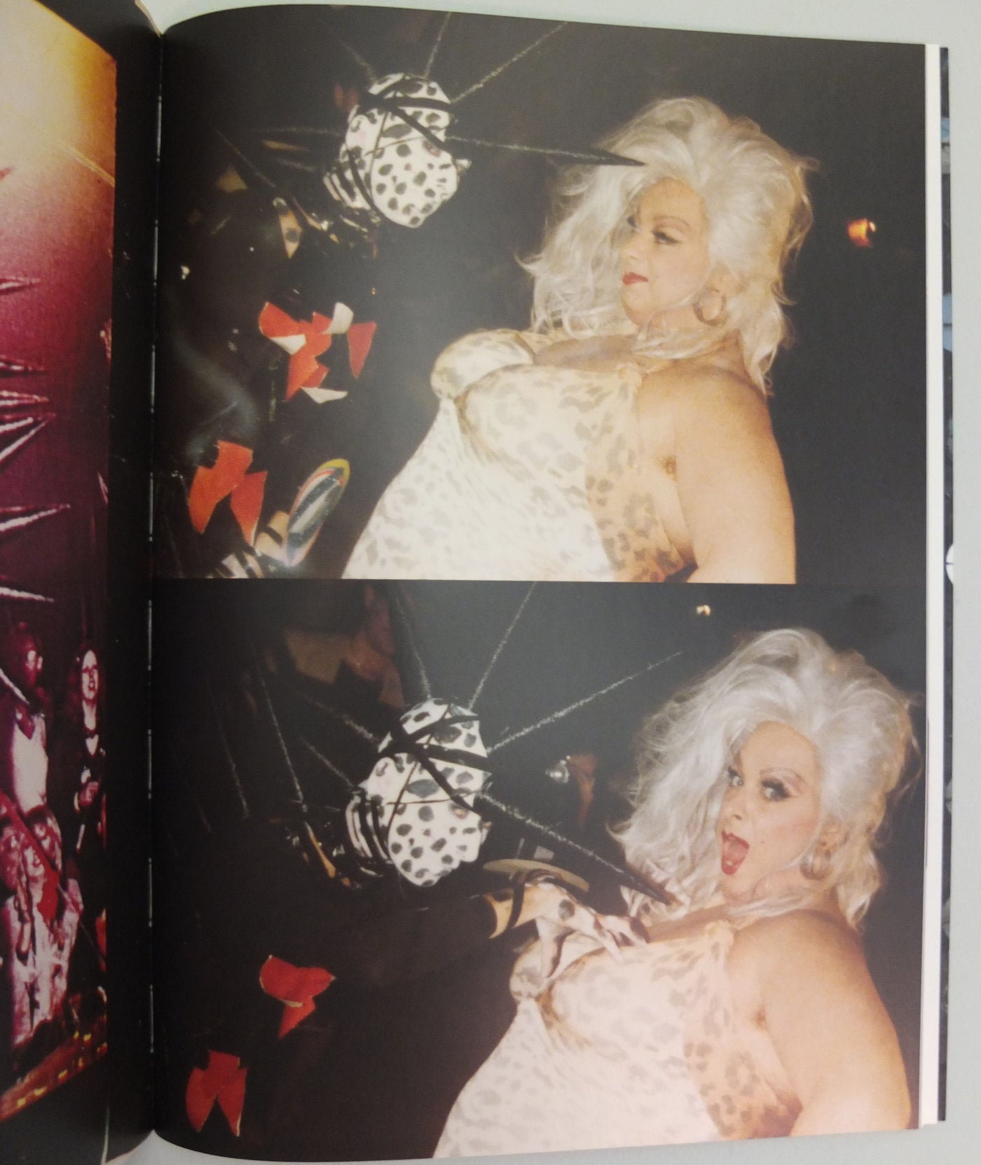 Michael & Gerlinde's World - Pages From a Diary by Michael Costiff}