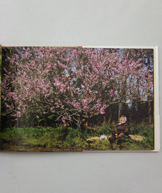 Misao The Big Mama And Fukumaru The Cat by Miyoko Ihara}