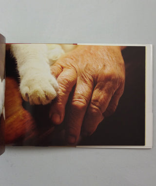 Misao The Big Mama And Fukumaru The Cat by Miyoko Ihara}