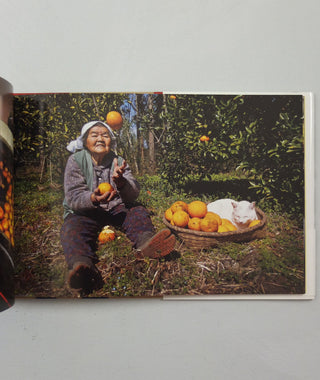 Misao The Big Mama And Fukumaru The Cat by Miyoko Ihara}