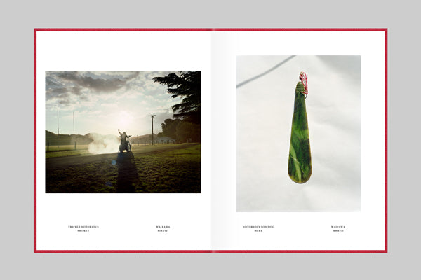 Mongrelism by Jono Rotman}