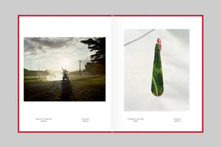 Mongrelism by Jono Rotman}