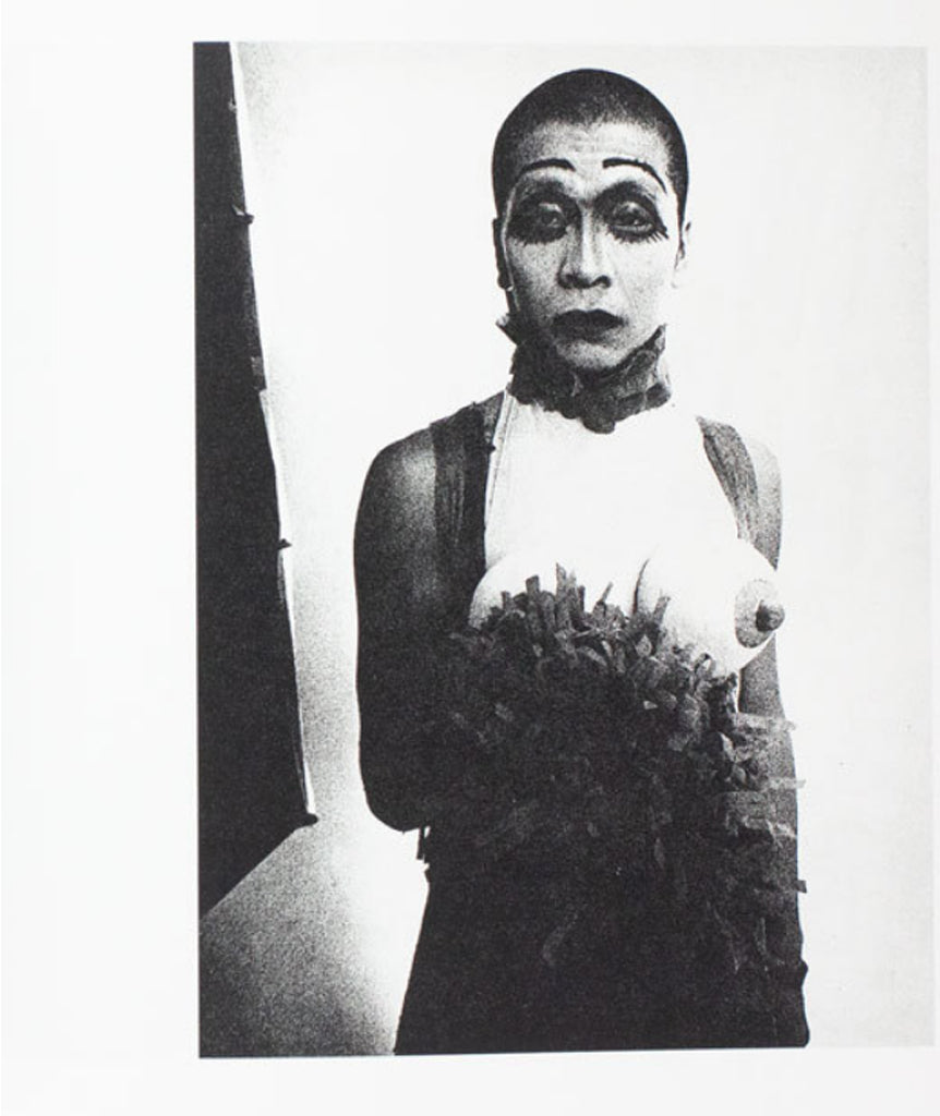 Japan, A Photo Theater by Daido Moriyama}