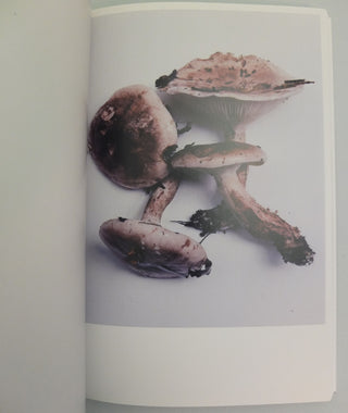 Mushrooms from the Forest by Takashi Homma (OOP)}