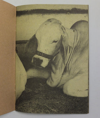 NELORE by Erik van der Weijde}