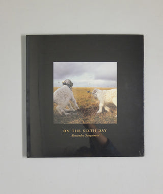 On the Sixth Day by Alessandra Sanguinetti (OOP)}
