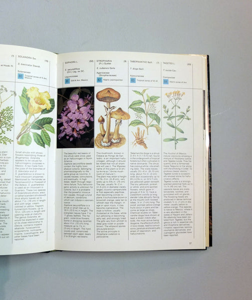 plant of gods Donlon Books