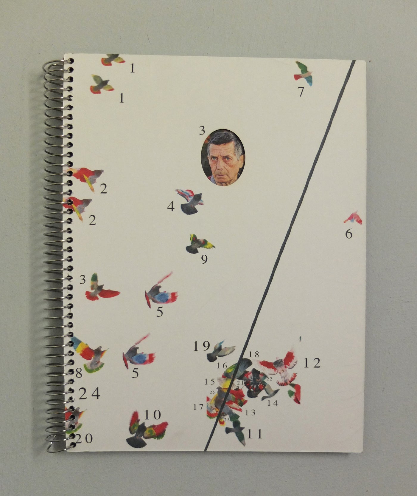 Paloma al Aire by Richard Cases (OOP)}