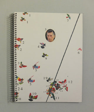 Paloma al Aire by Richard Cases (OOP)}